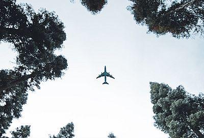 aircraft and trees