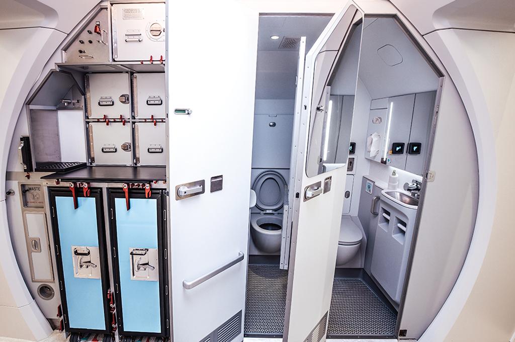 Skypax combination lavatory and galley system 