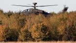 apache helicopter behind trees