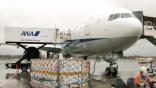 ANA cargo plane unloading at Tokyo Narita Airport